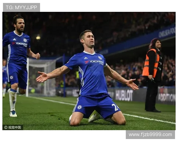 英超联赛17号球衣代表人物：卡希尔介绍